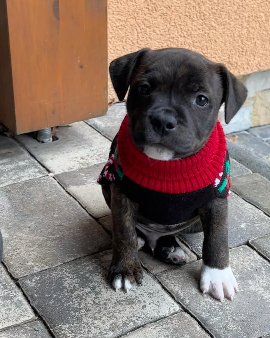 500906977_17844794370492784_3150346470851580329_n